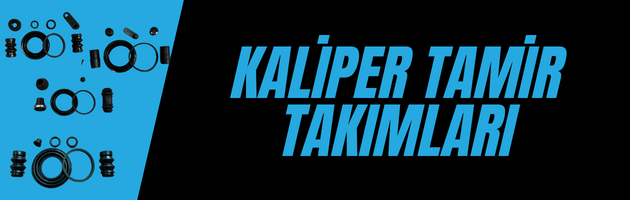 Kaliper Tamir Seti